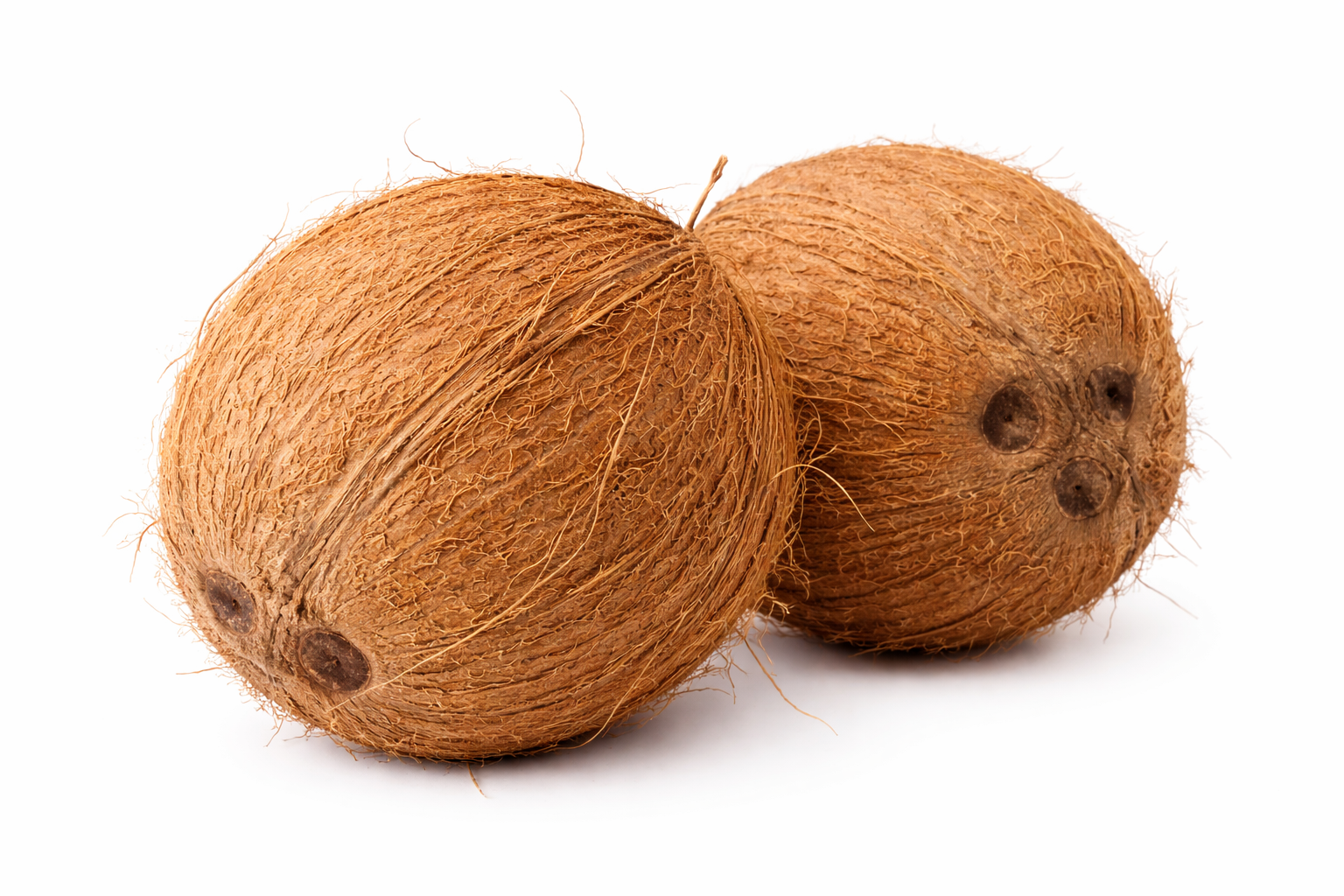 Coconut/தேங்காய்