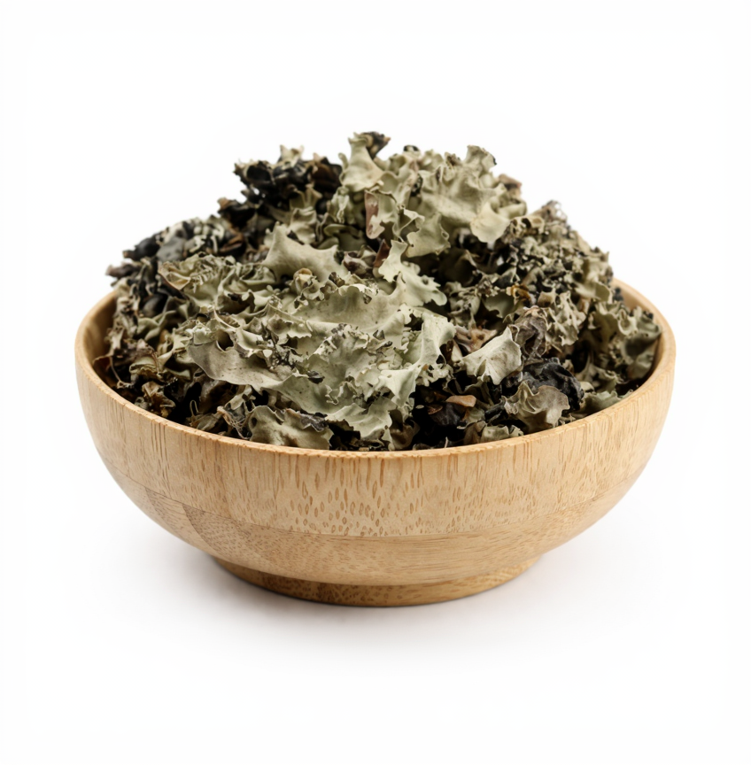 Kalpasi/கல்பாசி